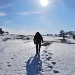 Yeti vs Abominable Snowman: Unveiling the Mystery