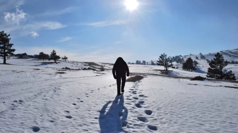 Yeti vs Abominable Snowman: Unveiling the Mystery