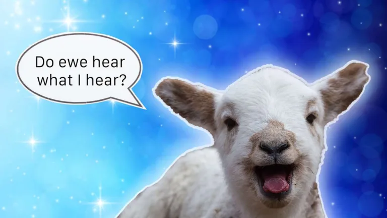 Animals Talk Christmas Eve: Myths & Legends of Speaking Beasts