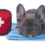 Bactine vs Bacitracin: Home Wound Care Guide