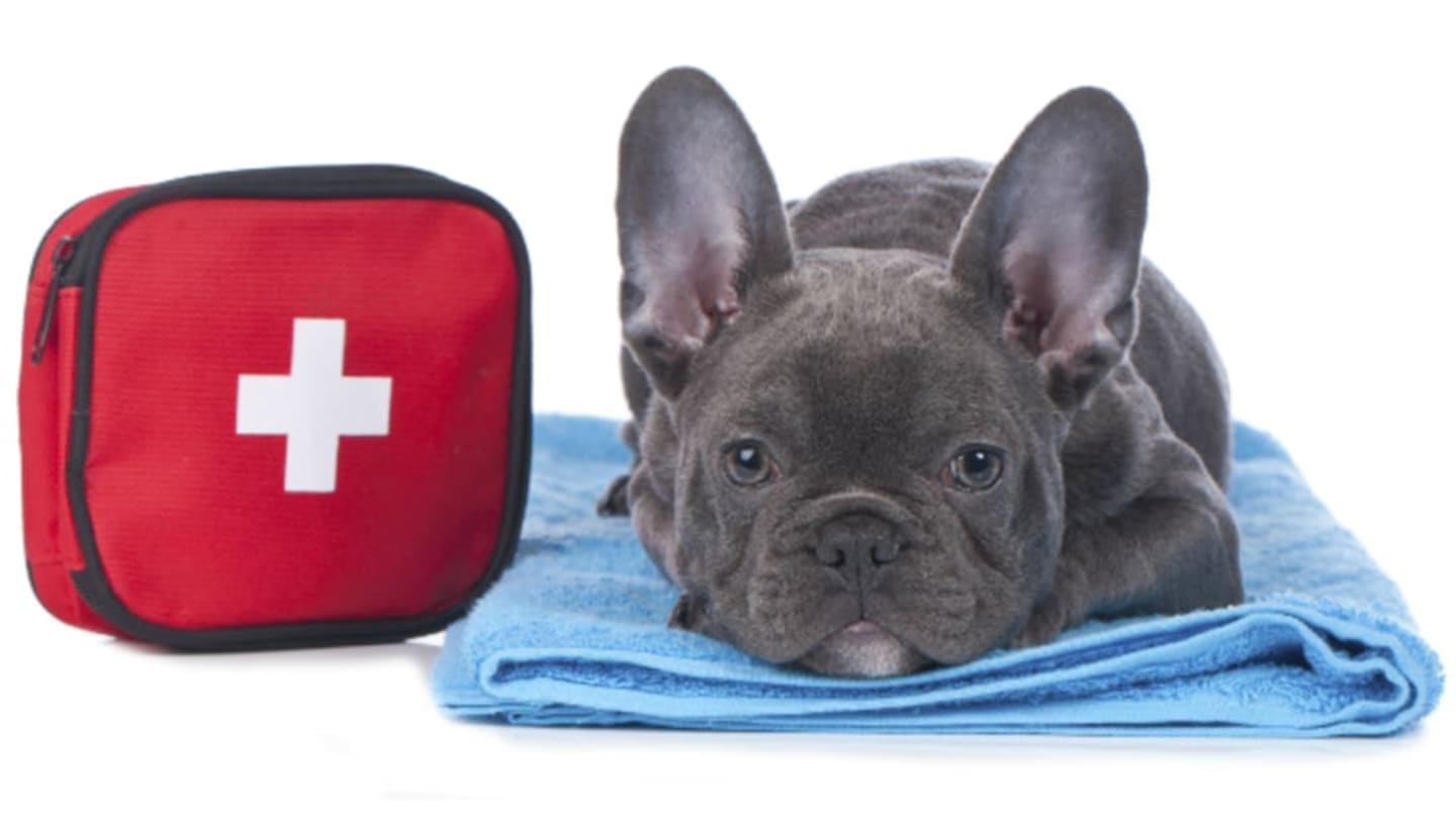 Bactine vs Bacitracin: Home Wound Care Guide