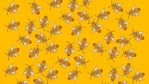 Bee in Your Bonnet Origin: Meaning & History