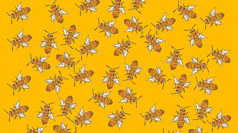 Bee in Your Bonnet Origin: Meaning & History