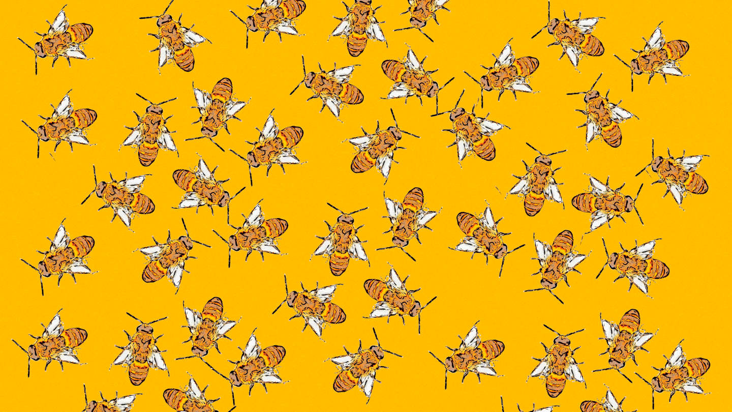 Bee in Your Bonnet Origin: Meaning & History