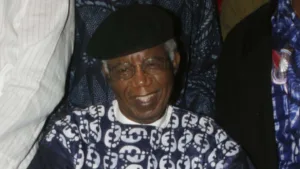 Chinua Achebe Interesting Facts: Father of African Literature