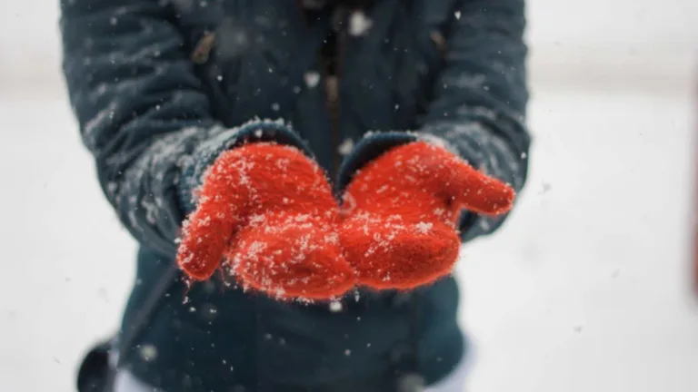 Fun Cold Weather Facts: Amazing Winter Phenomena