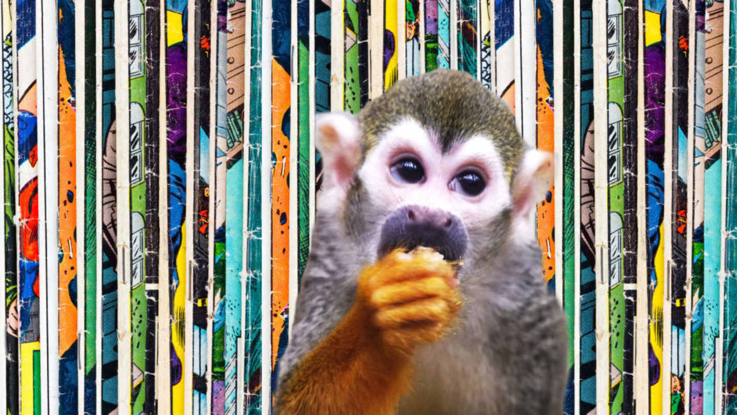 Comic Book Monkeys: The Wild Reality Behind the Ads