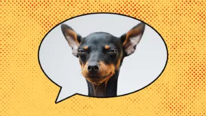 Origin of Double Dog Dare: History and Theories