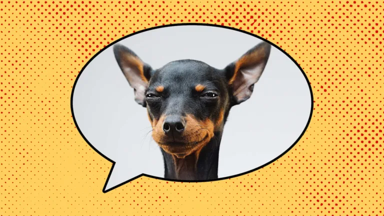 Origin of Double Dog Dare: History and Theories