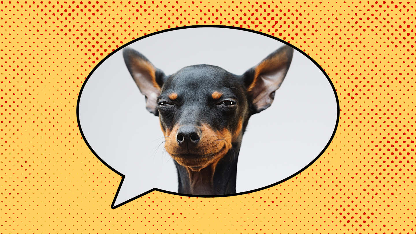 Origin of Double Dog Dare: History and Theories