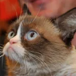 Richest Animals: Gunther Ivs Fortune & More