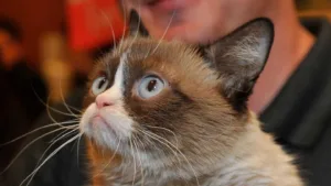 Richest Animals: Gunther Ivs Fortune & More