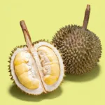 Durian Scent: Love It or Loathe It?