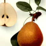 Extinct Foods: A Culinary Journey Through Lost Delights