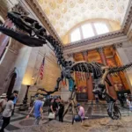 Facts About American Museum Of Natural History: Unveiling its Secrets