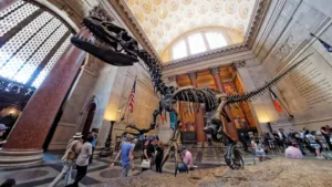 Facts About American Museum Of Natural History: Unveiling its Secrets