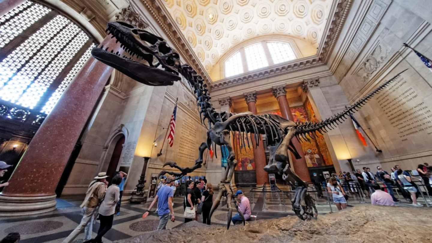 Facts About American Museum Of Natural History: Unveiling its Secrets