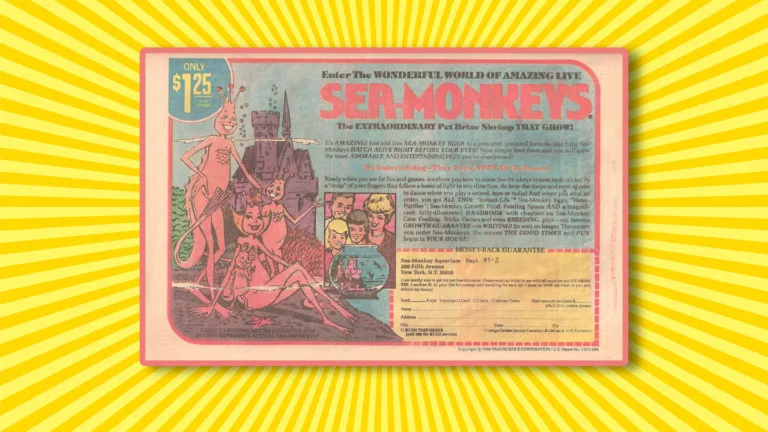 Facts About Sea Monkeys: Ocean Wonders and Their Importance