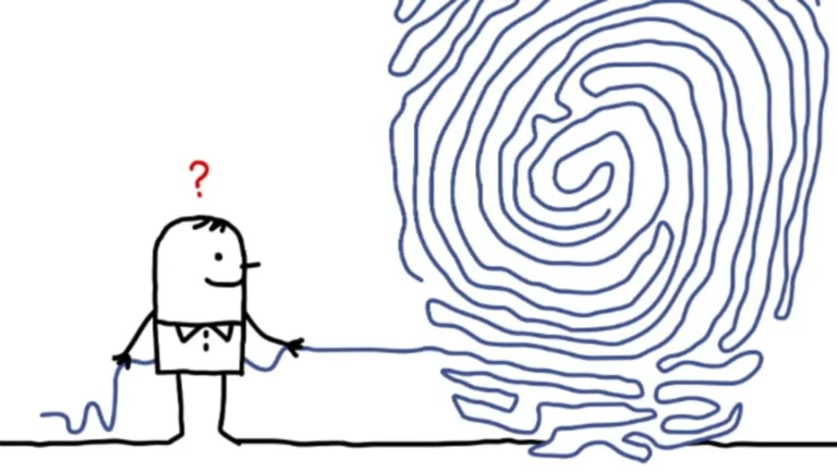 Fingerprint Fun Facts: Unique Identifiers & Technology