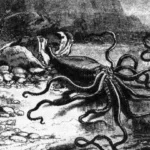 Fun Facts About Giant Squid: Deep-Sea Mysteries Unveiled