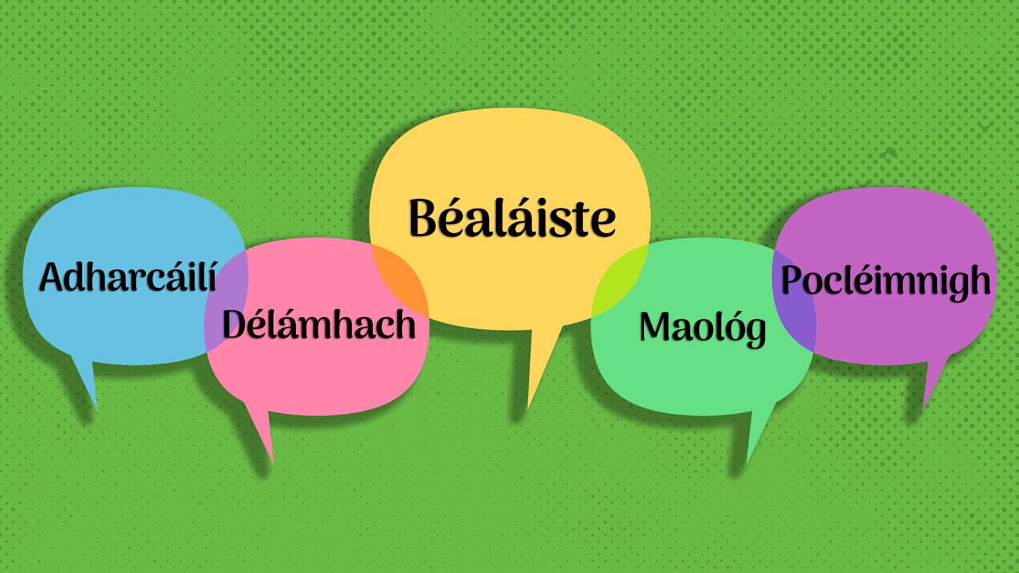 Fun Irish Words: Explore Unique & Humorous Gaelic Terms