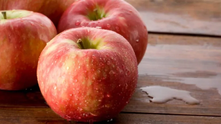 Funny Apple Names: 18 Bold & Unconventional Varieties