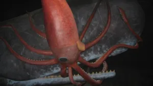 How Many Giant Squids Are There? Unveiling the Mystery