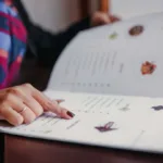 History of Menus: From Ancient Feasts to Modern Menus