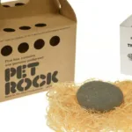 How Many Pet Rocks Were Sold? The Phenomenal Success Story