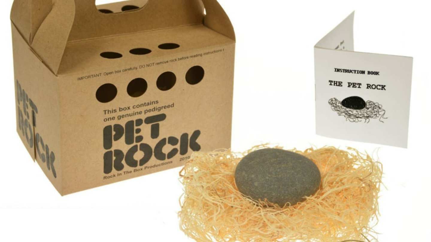 How Many Pet Rocks Were Sold? The Phenomenal Success Story