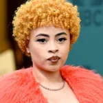 Where Is Ice Spice From? Rappers Origin