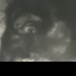 Inside a Tornado: Structure & Subvortices