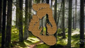 Jerry Crew Bigfoot: The Bluff Creek Mystery Unraveled