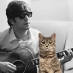 John Lennon Cats: A Look at The Musicians Feline Friends