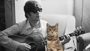 John Lennon Cats: A Look at The Musicians Feline Friends