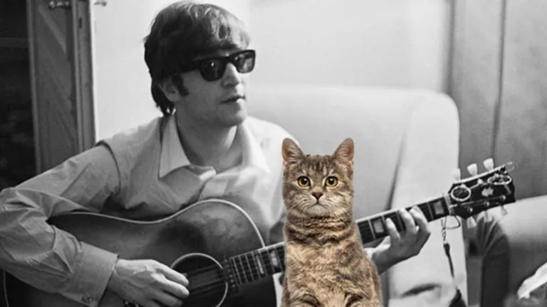 John Lennon Cats: A Look at The Musicians Feline Friends