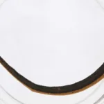 Fun Facts About Leeches: Surprising Insights into These Creatures