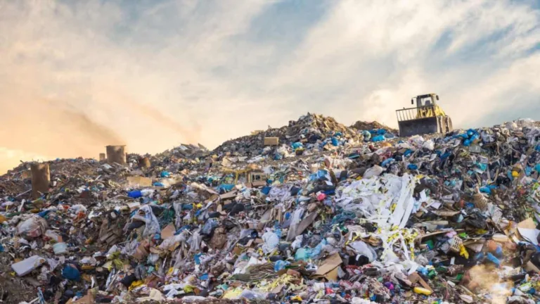 Mafia Waste Management: The Hidden History of Criminal Control