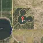 Mickey Mouse Lake & Hidden Aerial Designs