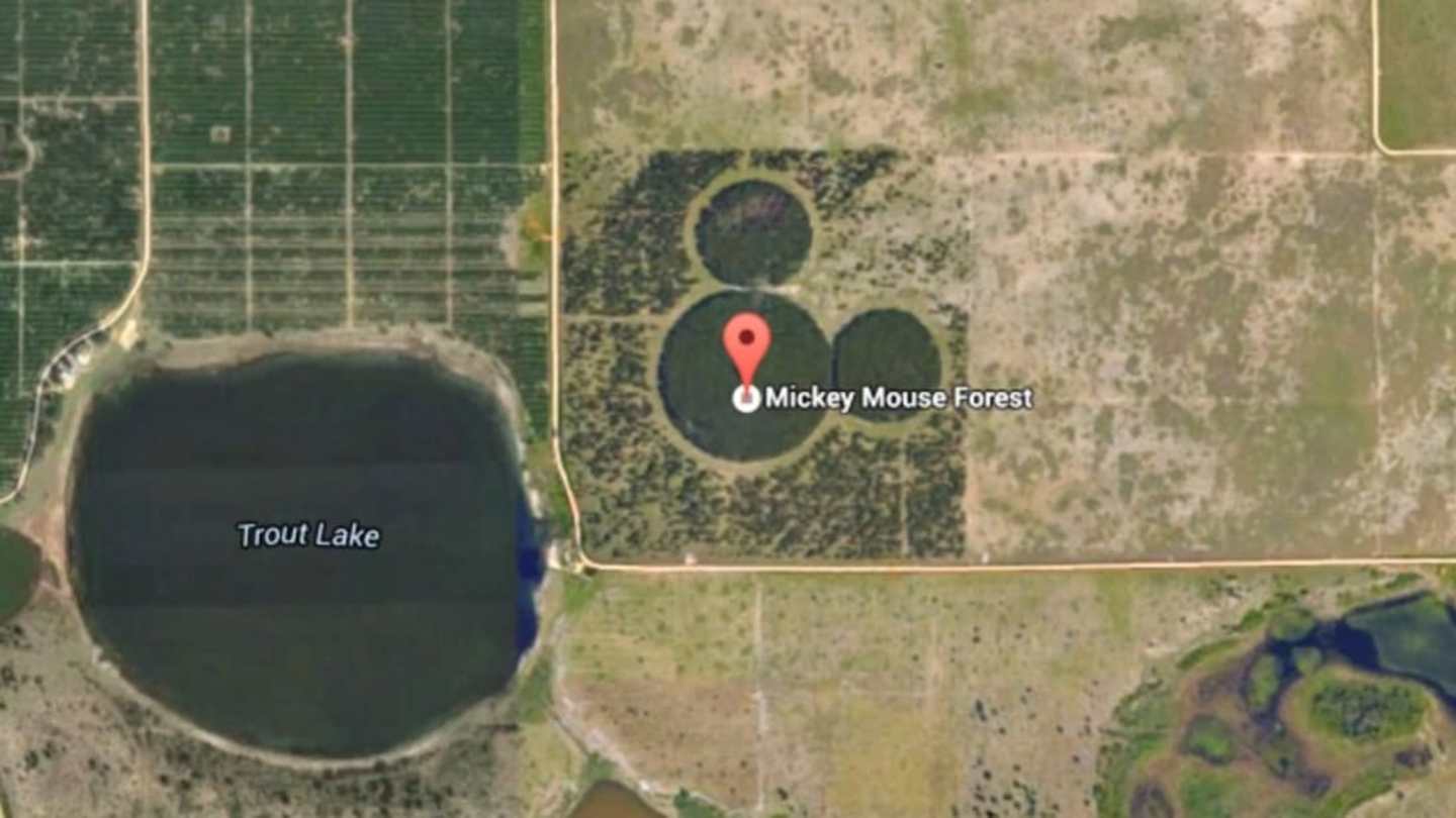 Mickey Mouse Lake & Hidden Aerial Designs