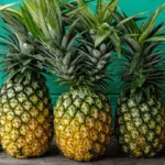 Why Are Pineapples Called Pineapples? Uncovering the Names Origin