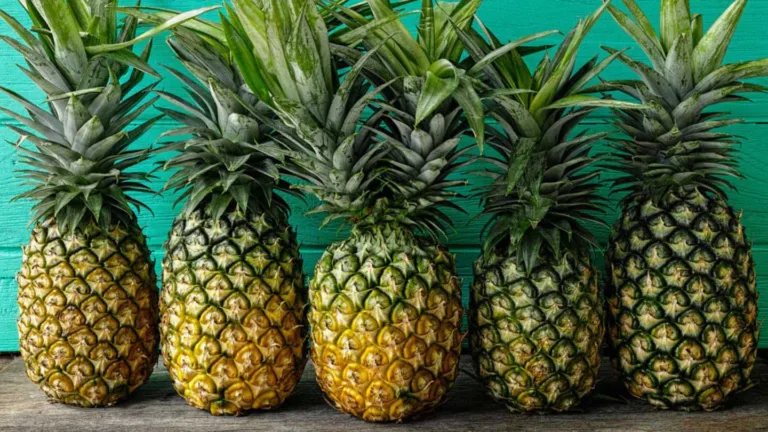Why Are Pineapples Called Pineapples? Uncovering the Names Origin