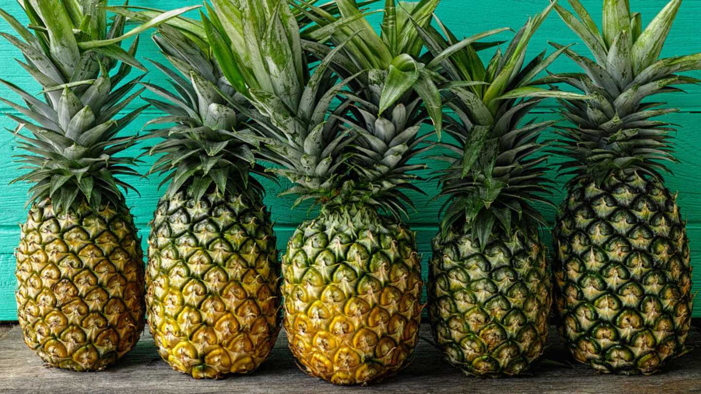Why Are Pineapples Called Pineapples? Uncovering the Names Origin