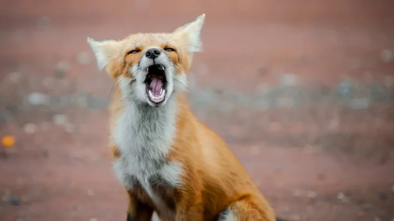 Scariest Animal Noises: Spine-Chilling Sounds from Nature