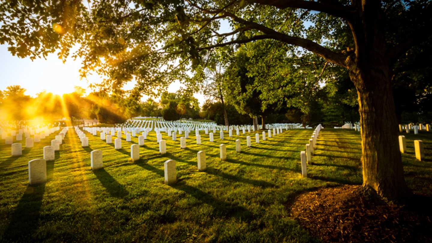 Scary Death Facts: Weird History and Science Of Mortality