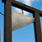 Star Wars Guillotine: Frances Final Execution