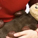 Therapy Robots: Revolutionizing Emotional Wellbeing