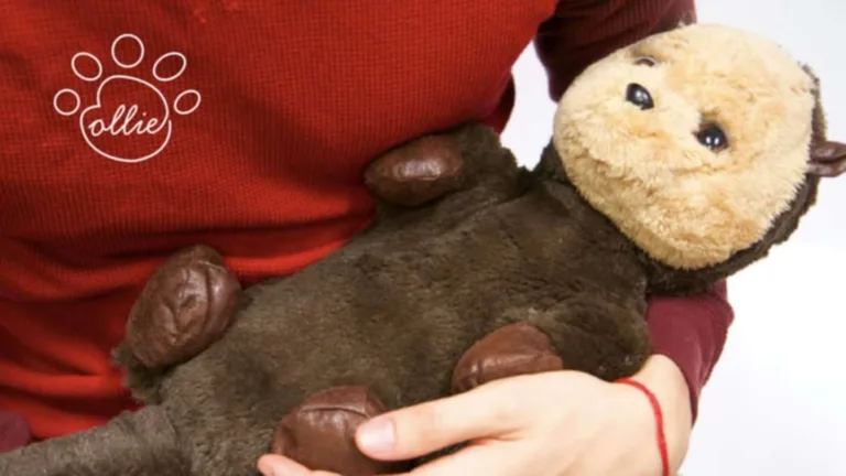 Therapy Robots: Revolutionizing Emotional Wellbeing