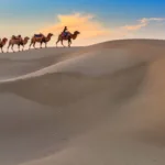 Ancient Trading Routes: A Journey Through History