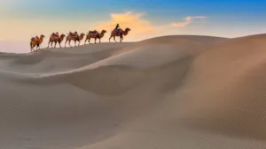 Ancient Trading Routes: A Journey Through History